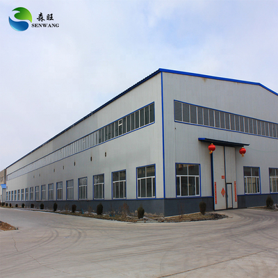 Q235/Q355 Çelik Çerçeveli Özel Çelik Yapı Deposu