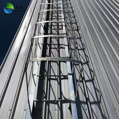 Enerji tasarruflu depolama için sandviç paneli duvarlı uygun fiyatlı çelik yapı depo